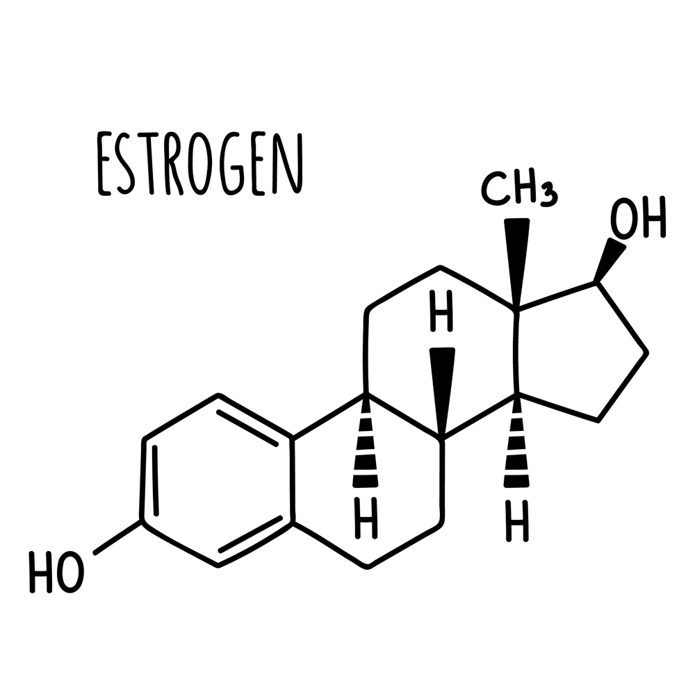 What is Estrogen and How Does It Work?